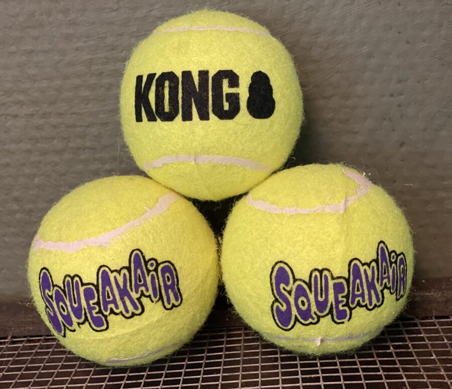 Kong Tennis Bold - Image 4