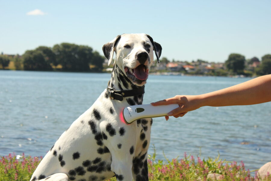 Photizo vetcare - Image 2