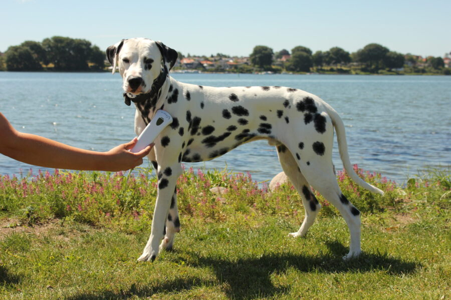 Photizo vetcare - Image 6